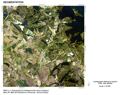 View the example of T-MAP's segmentation